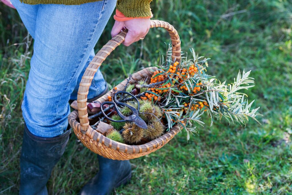 woman holding a basket of foraged foods