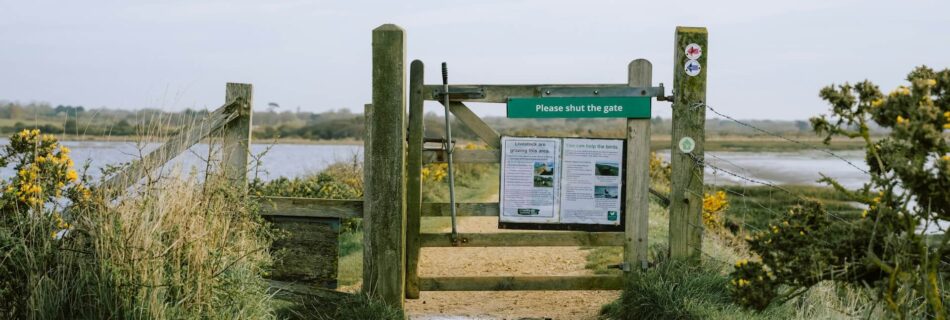 footpath in the new forest coastal region