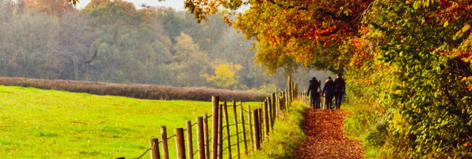 Colourful Autumn foliage with a group walking along a footpath
