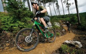 two men cycling up a forest path on mountain bikes