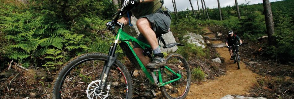two men cycling up a forest path on mountain bikes