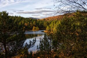 Loch an Eilein and forest at sunset